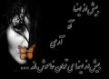 user-1281