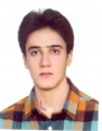 alireza davari